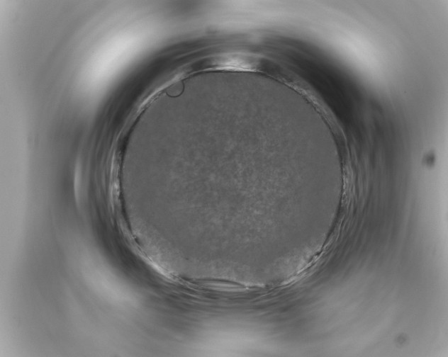 X0000094171487200711020929