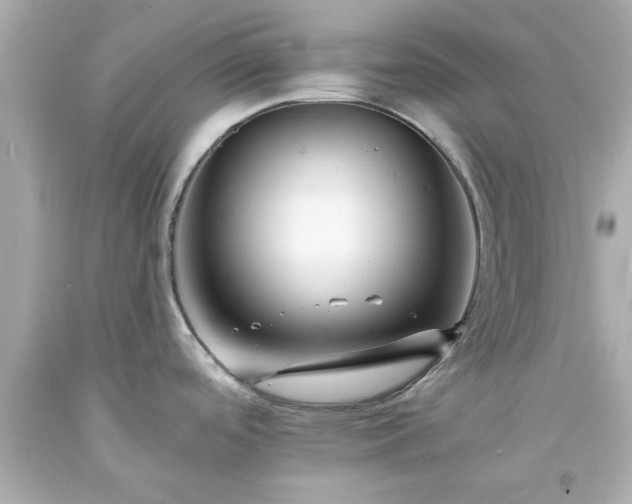 X0000094171488200711020929