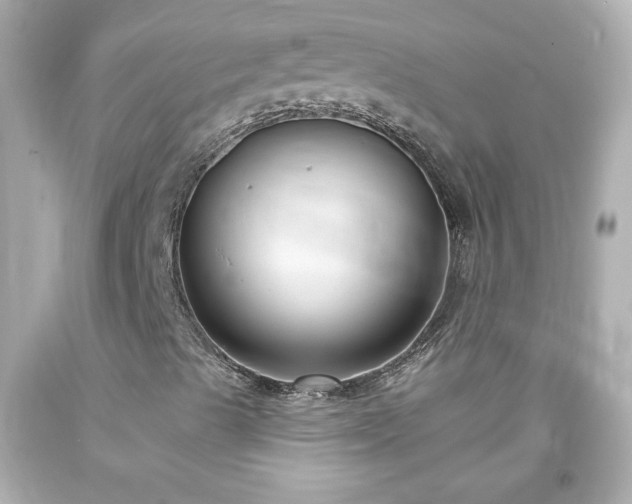X0000094171489200711020928