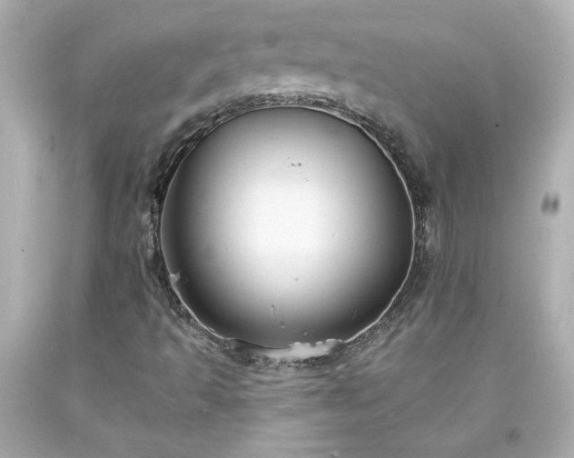 X0000094171493200711020928