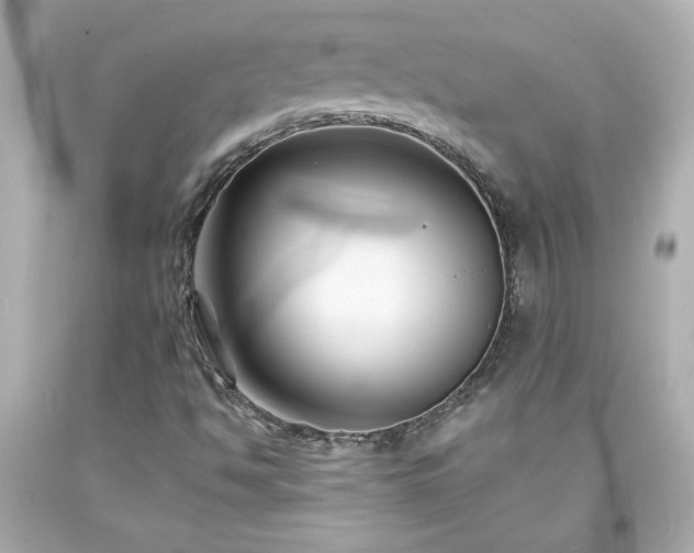 X0000094171494200711020928
