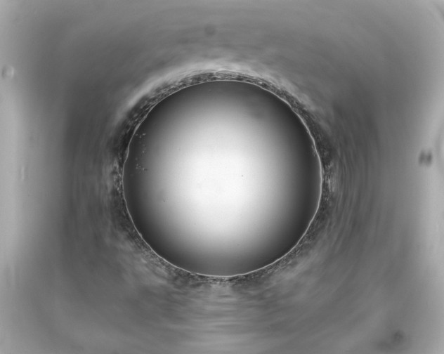 X0000094171495200711020928