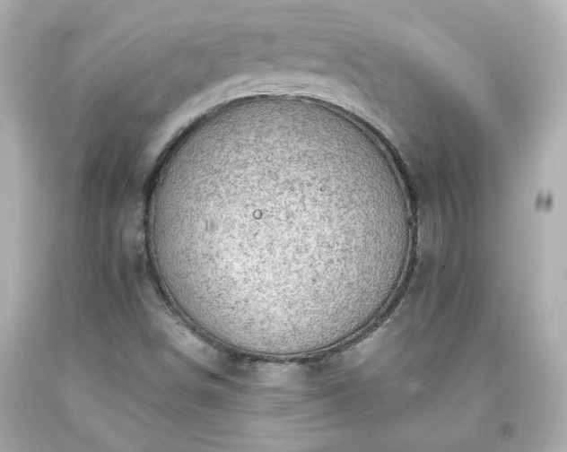X0000094171498200711020928