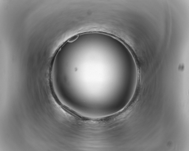 X0000094171500200711020928