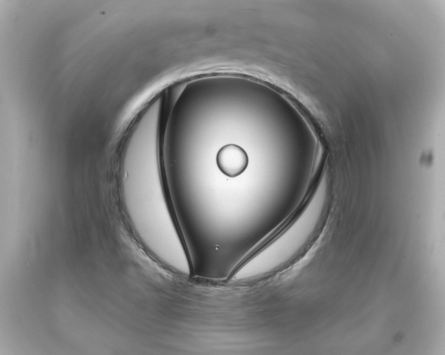 X0000094171502200711020928