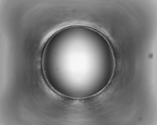 X0000094171504200711020929