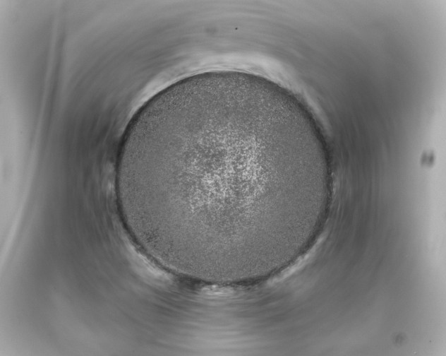 X0000094171505200711020929
