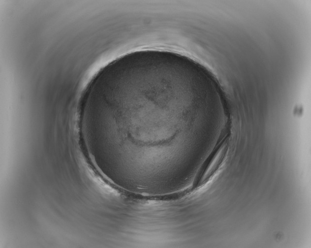X0000094171506200711020929