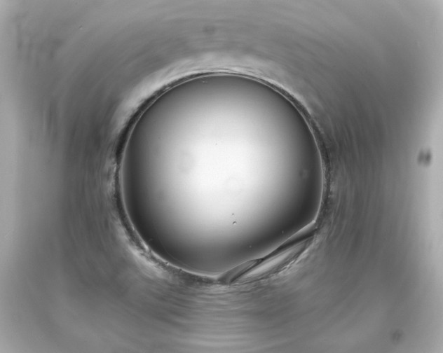 X0000094171507200711020929