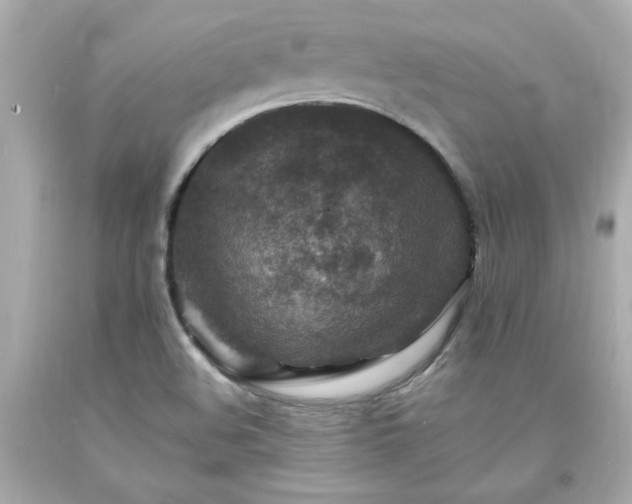 X0000094171508200711020929