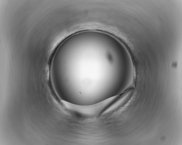 X0000094171509200711020929