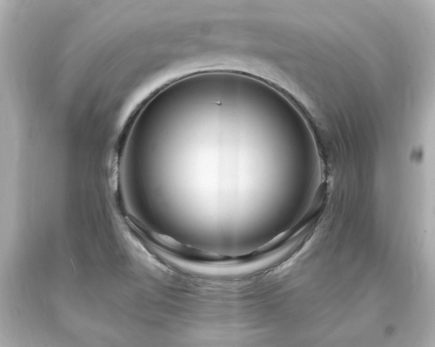 X0000094171510200711020929