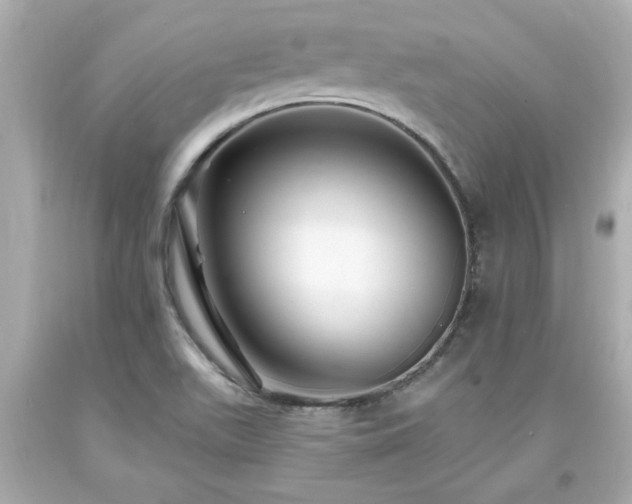 X0000094171511200711020929