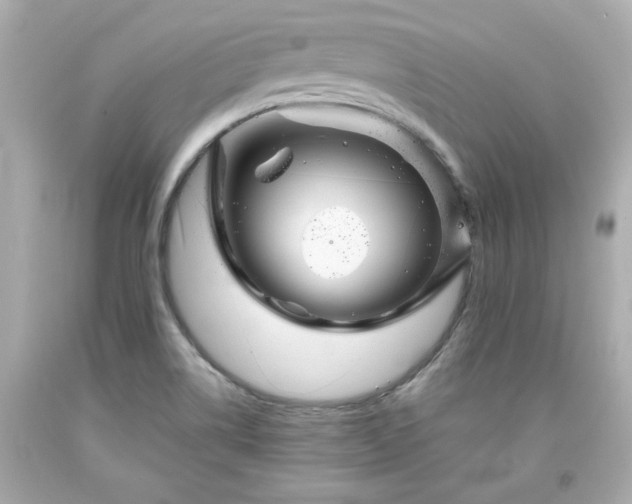 X0000094171514200711020929