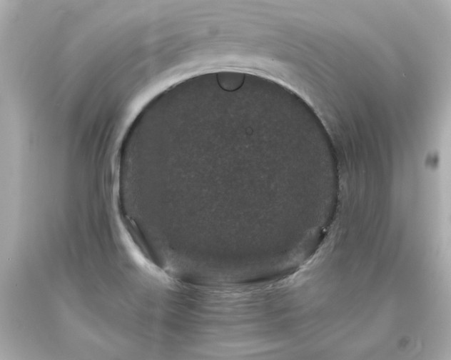 X0000094171515200711020929