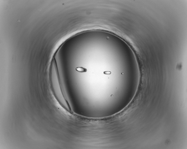 X0000094171516200711020929