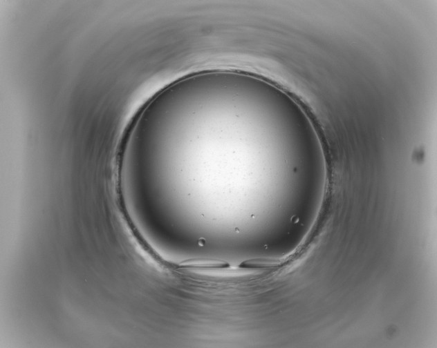 X0000094171517200711020929