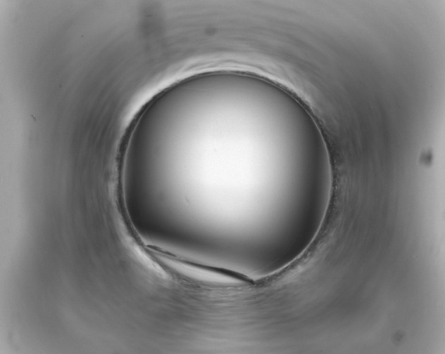 X0000094171518200711020929