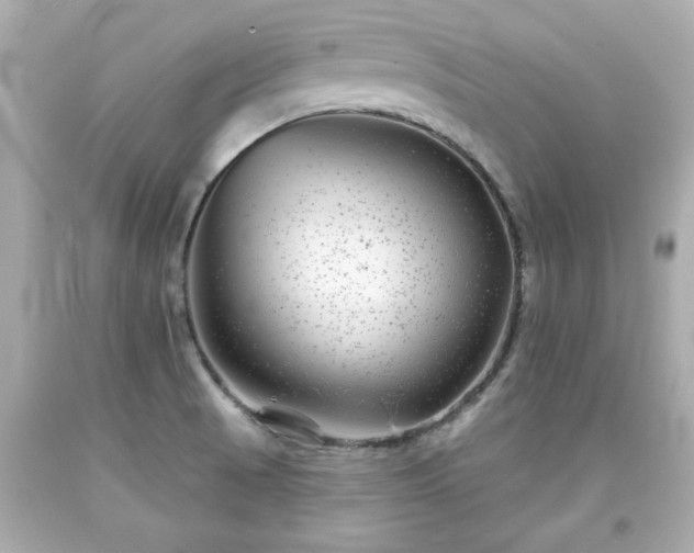 X0000094171521200711020929