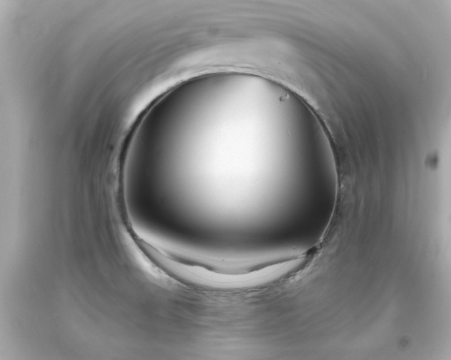 X0000094171523200711020929