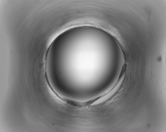 X0000094171524200711020929