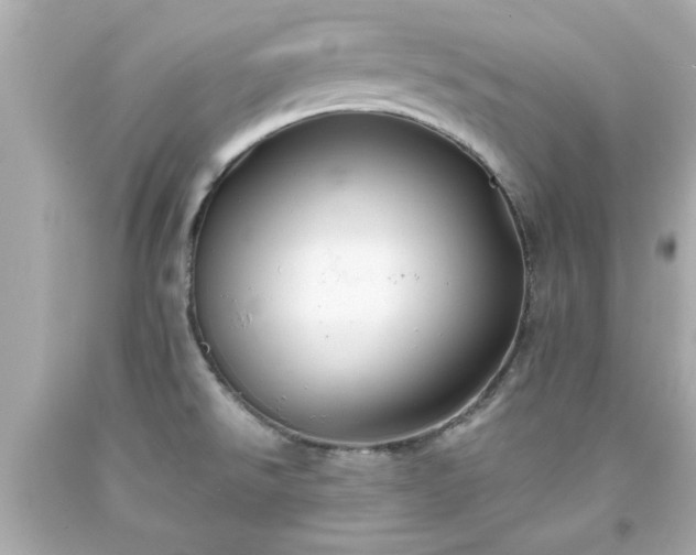 X0000094171526200711020929
