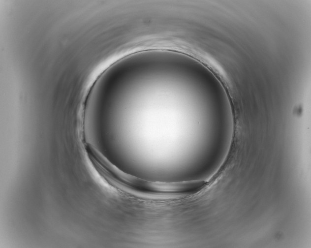 X0000094171528200711020929