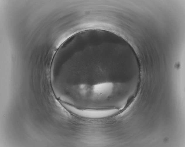 X0000094171529200711020929