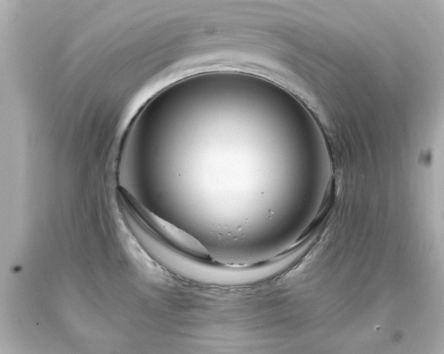 X0000094171530200711020929