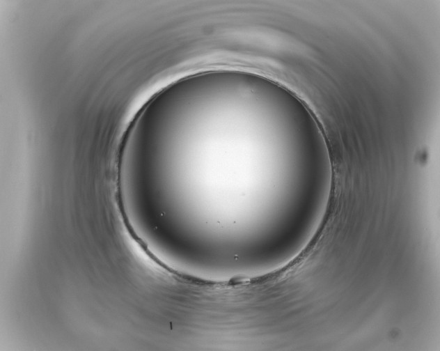 X0000094171531200711020929
