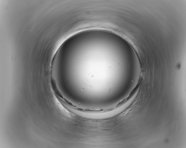 X0000094171532200711020929