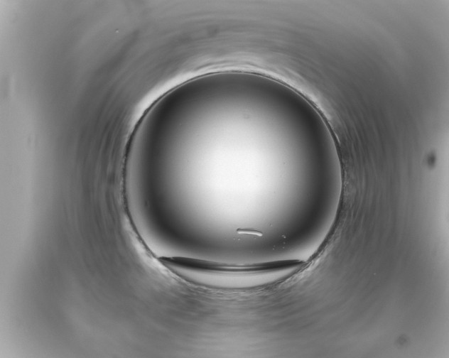 X0000094171534200711020929