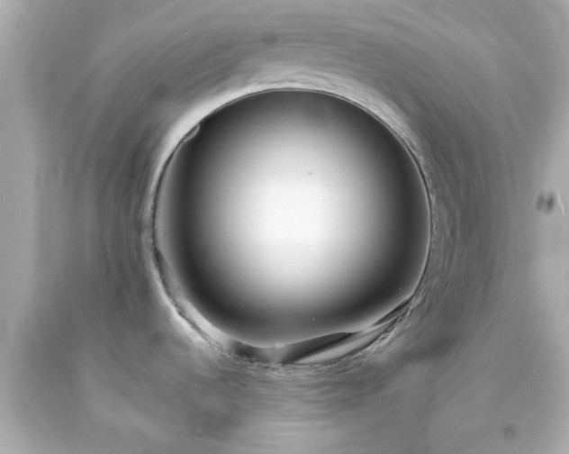 X0000094171536200711020929