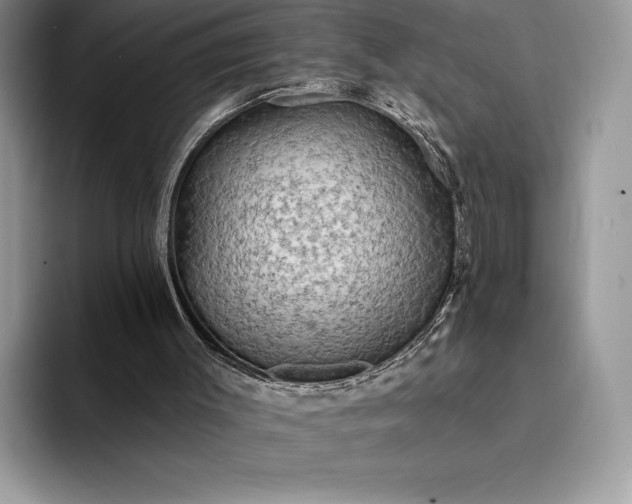 X0000094170003200711091133