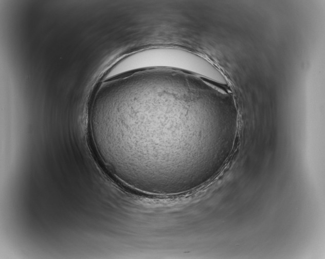 X0000094170005200711091133