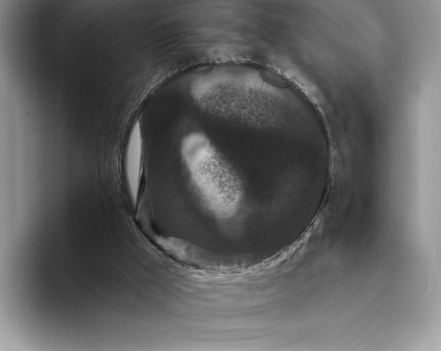 X0000094170009200711091132