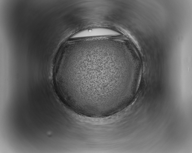 X0000094170010200711091132