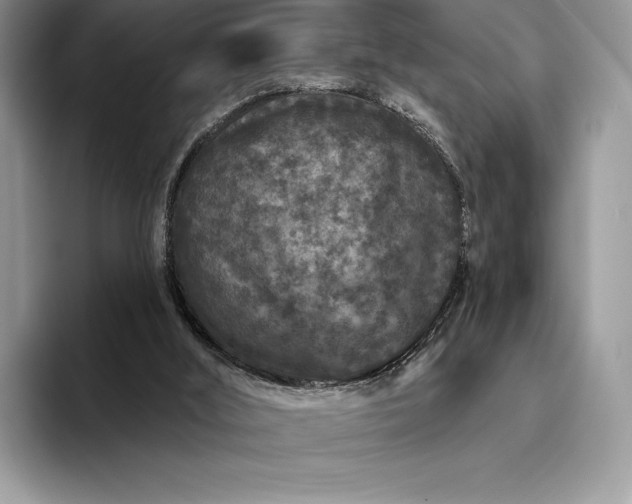 X0000094170012200711091132