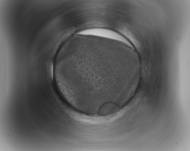 X0000094170014200711091132