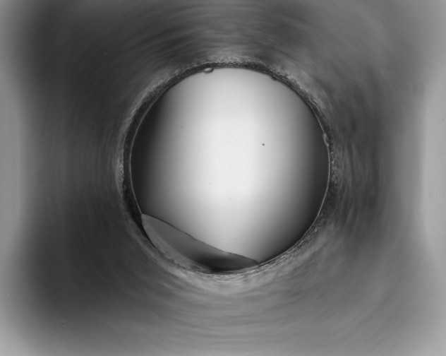 X0000094170015200711091132