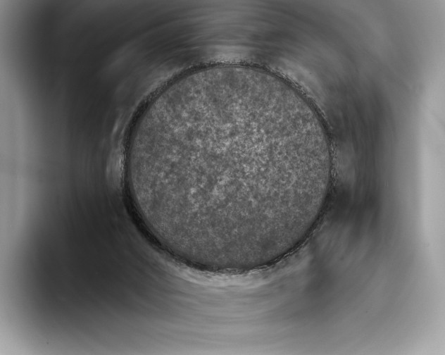 X0000094170016200711091132