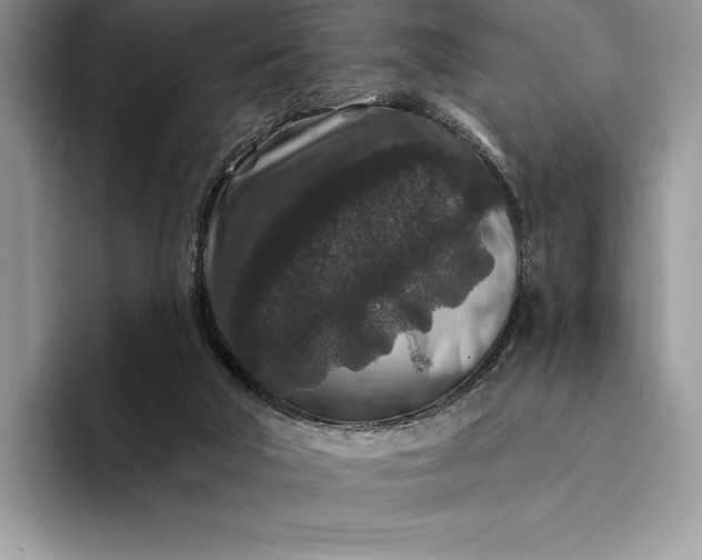X0000094170018200711091132