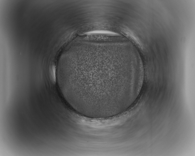 X0000094170022200711091132