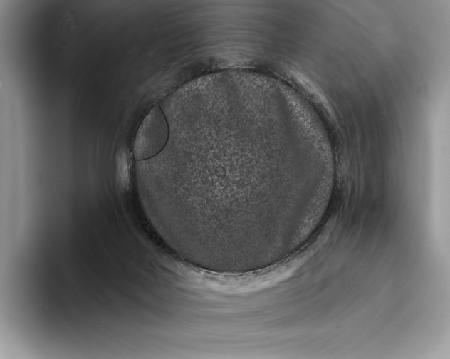 X0000094170026200711091132