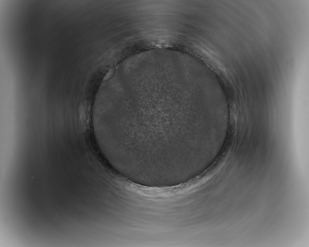 X0000094170030200711091132
