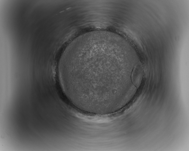 X0000094170032200711091132