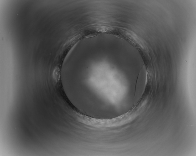 X0000094170043200711091132