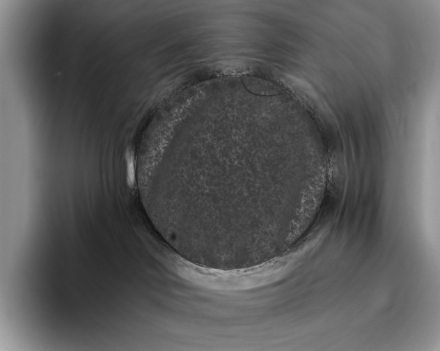X0000094170046200711091132