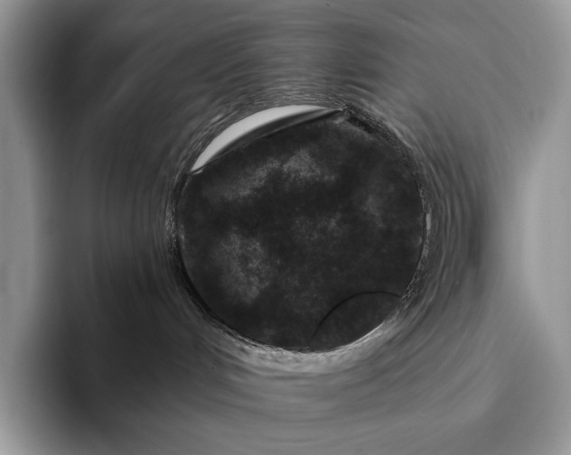 X0000094170048200711091132