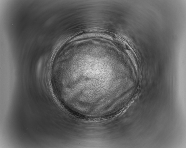 X0000094170049200711091131
